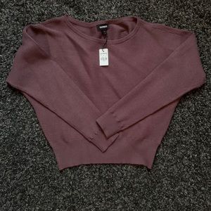 Express Ribbed Purple Sweater